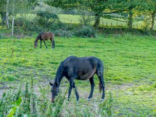 Le Cottage-Uk32854 - 1