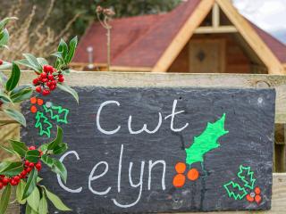 Cwt Celyn-Qu7605 - 5