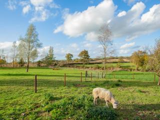 Knowstone-Uk40034 - 4
