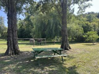 Domaine du Rêv'Eure Chambres d'hôtes au bord de l'Eure - Cailly-sur-Eure - 9
