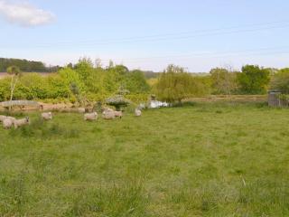 Oaktree Cottage - Hnno - 7