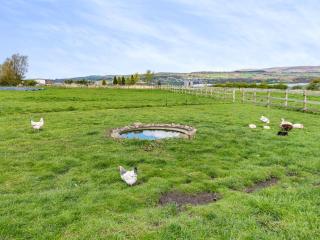 Pendle View Lodge - Altham - 2