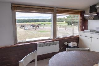 Logies Belle Hoeve Gieten - 9