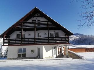 The Viewpoint - 1