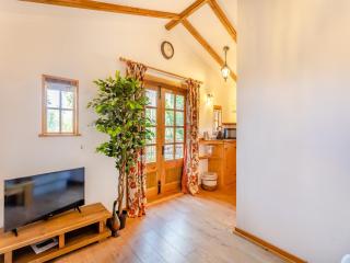 Lion House- Uk45705 - 7