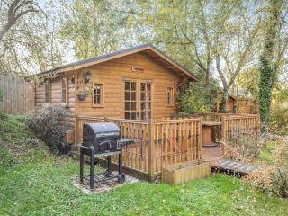 Lion House- Uk45705 - 2