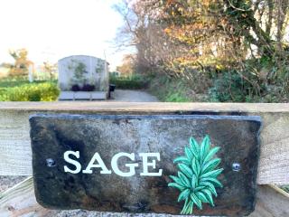 Sage - Uk36937 - 3