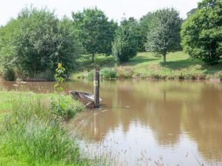 Kingfisher Lodge - Uk33889 - 3