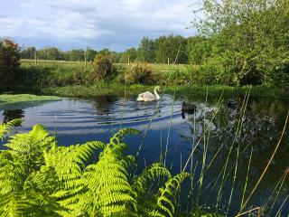 Dragonfly Cottage-Uk39919 - 9