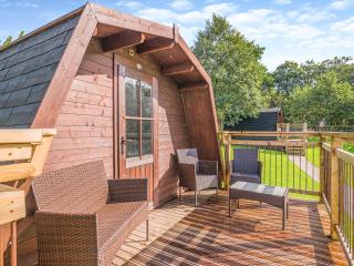 Shadi - Uk45069 - Derwydd - 9
