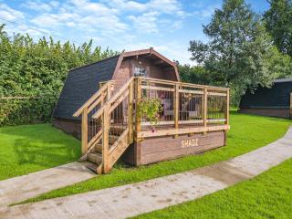 Shadi - Uk45069 - Derwydd - 8