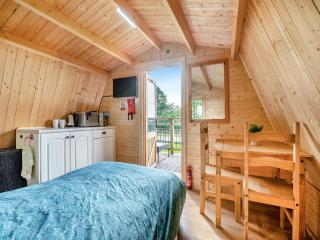 Shadi - Uk45069 - Derwydd - 5