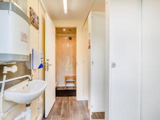 Shadi - Uk45069 - Derwydd - 4