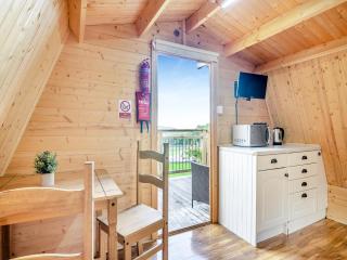 Shadi - Uk45069 - Derwydd - 3