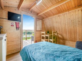 Shadi - Uk45069 - Derwydd - 1