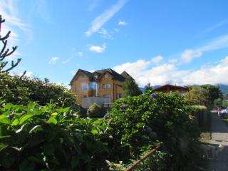 Vientos del Sur - Pucón - 1