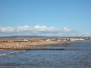 311 Driftwood - Ukc5026 - 3