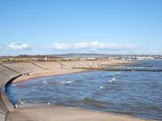 311 Driftwood - Ukc5026 - 1