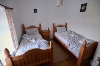 Golan - Ukc4677 - 2