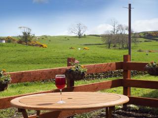 The Bothy - Uk5803 - Girthon - 5
