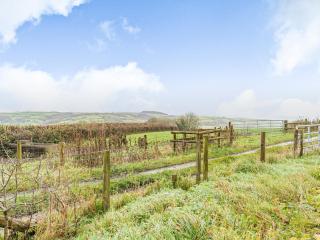 Cowshed 2 - Uk35458 - 5