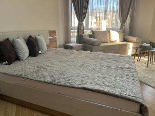 Aspen Suites studio F102 - 8