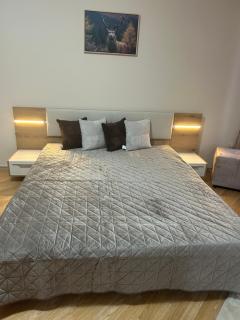 Aspen Suites studio F102 - 9