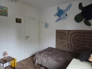 Zweibettzimmer in einer Wohnung mit Katzen - 3