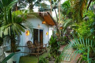 Havanna - The Jungle Stay, Palolem - 8