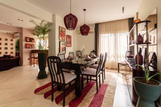 Royal Harmony Zamalek Loft/ Panoramic Garden view - 8