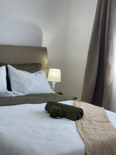 Zeni Villa Apartments - 2