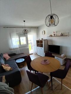 Apartmani Banja Koviljaca - 9