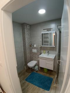 Apartmani Banja Koviljaca - 3