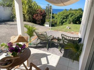 F2 Okairi Jardin Parking et Proche Plages St Pierre - 3