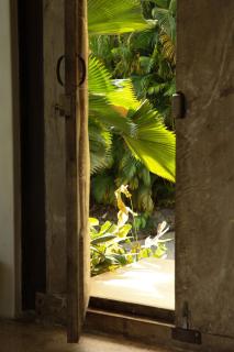 Casa Pochote - 3