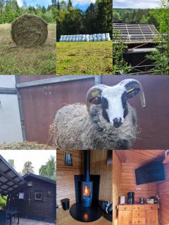 Gemütliche Blockhütte für Auszeit in Torsby auf einem Bauernhof - 9