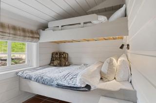 FA1105- Trysil Ski-in out Timber Lodge with Sauna - 1