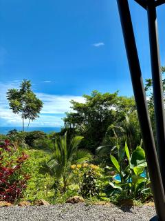 Finca la Luz - Savegre - 5