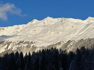 "Chalet GENI" in Valbella-Lenzerheide Ski und Bike In&Out, Super Locations in der Natur - 9