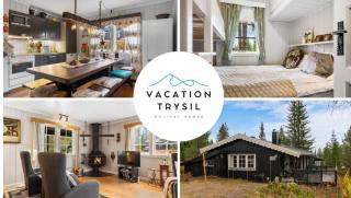 TH209- Ski-in out cabin in Trysil with mountain feel - 9