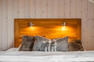 FA981 Trysil Mountain View, sauna, ski in, ski out - 2