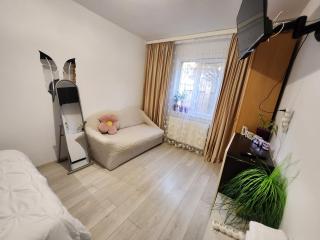 Luxury property near UVVG and hospital, self check in non-stop, privacy! - Arad - 8