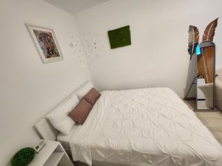 Luxury property near UVVG and hospital, self check in non-stop, privacy! - Arad - 0