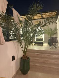 Riad Olika & Spa - Marrakesh - 9