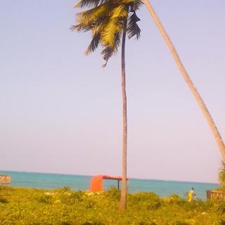 Green View Bungalow - 0