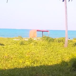 Green View Bungalow - 5