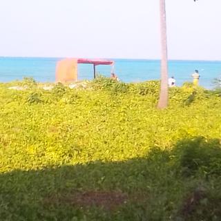 Green View Bungalow - 2