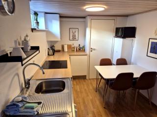 2-Bedroom Garden-Level Home in Torshavn Central - 6