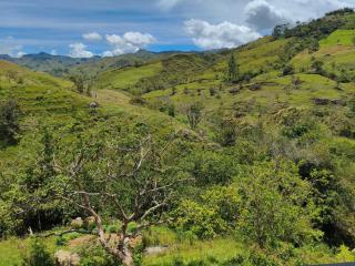 Finca cristalina - 7