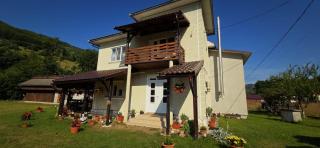 Casa Danut - 0